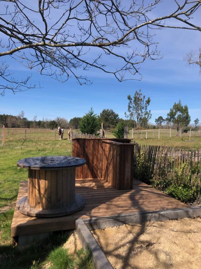 Gite Au Coeur Des Landes Lue Exterior foto